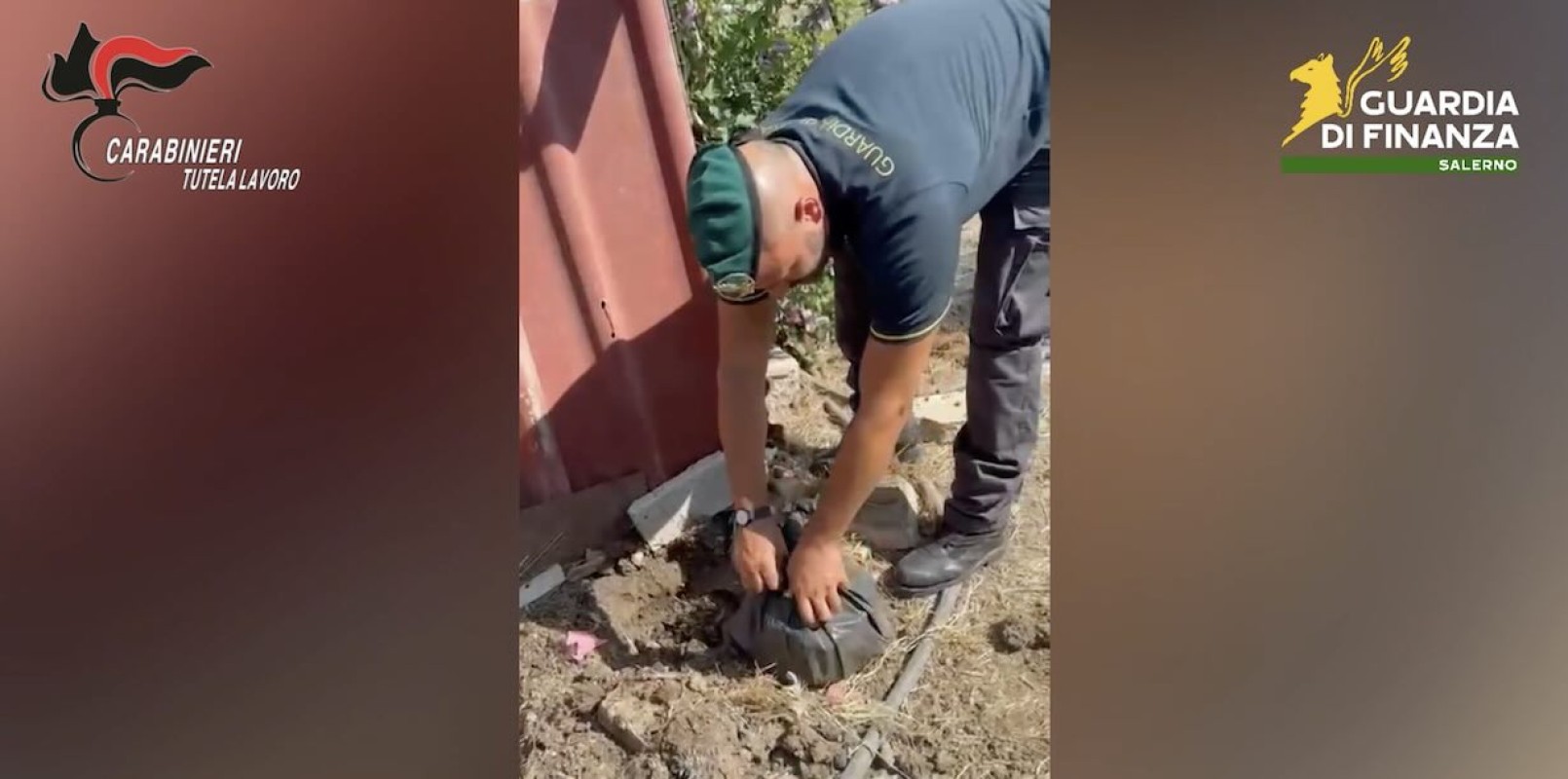 Truffa dei Decreti Flussi: 22 misure cautelari per contratti irregolari
