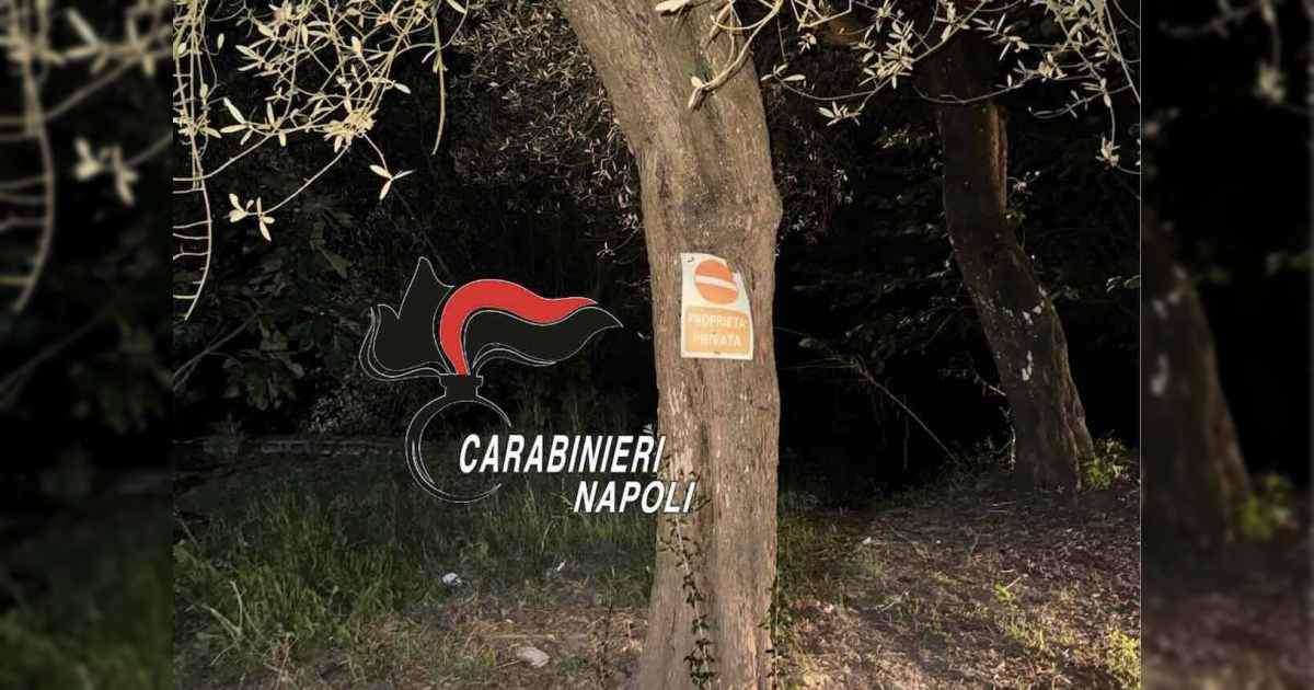 Massa Lubrense, scoperta la rete di spaccio: mappa della droga su WhatsApp svela il pusher dell’ulivo
