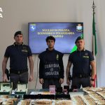 Mugnano di Napoli: maxi-sequestro da 17,6 milioni nell’inchiesta su frodi fiscali nel commercio ittico Mugnano di Napoli: maxi-sequestro da 17,6 milioni nell’inchiesta su frodi fiscali nel commercio ittico
